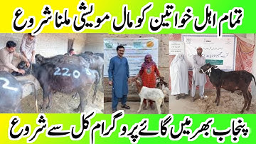 BISP Free Animal Program | Ehsaas Muft Janwar Scheme Online Apply Form | Banzer income sport program