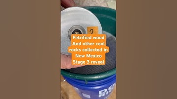 Rock tumbling reveal - petrified wood and other rocks from New Mexico #rocktumbling #rocks #crystal
