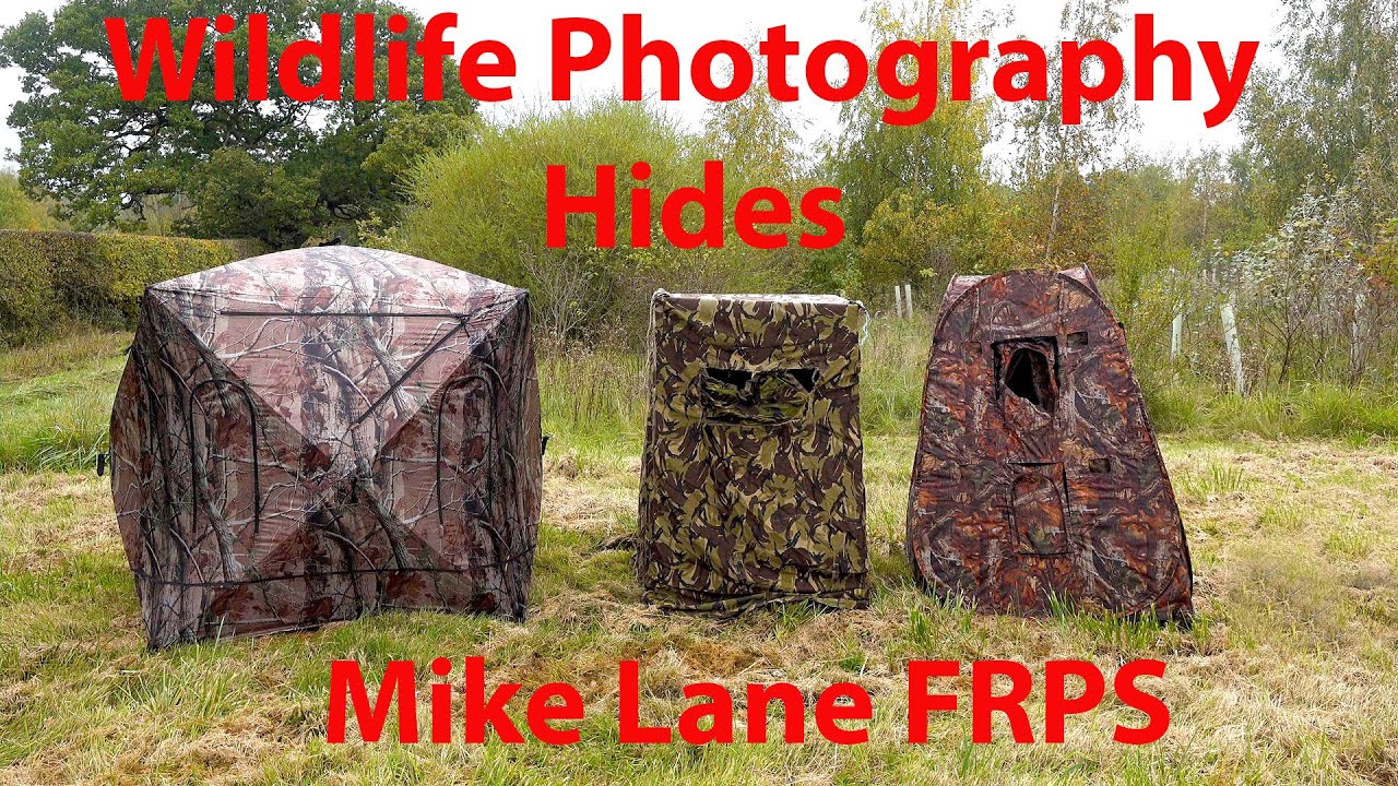 Hides For Wildlife Photography YouTube