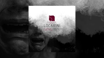 Locarini - Binary Code  ( original mix )