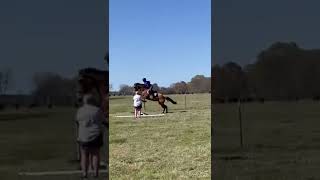 Have you guys ridden bareback? #horse #equestrian #viralshorts #viral #viralvideo #cute #fun #aww