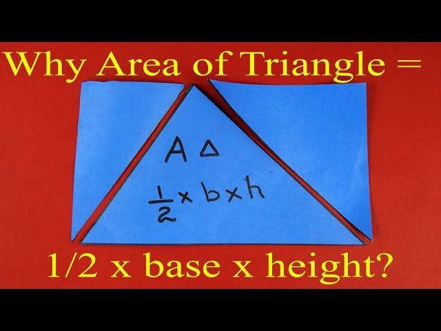 ⁣Why area of the triangle  is 1/2 x base x height? - Part 1 | English