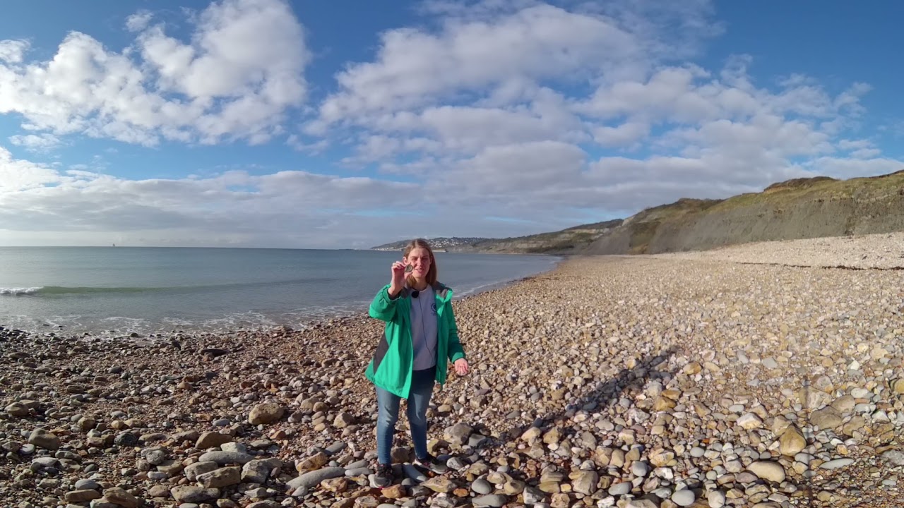 Charmouth Heritage Coast Centre - Anna Holbrook
