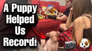 A Puppy Helped Us Record! *BTS*