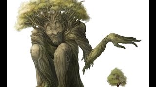 There Are No Forest On Flat Earth