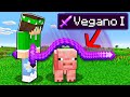 MINECRAFT MA CON I NUOVI INCANTAMENTI STUPIDI OP!