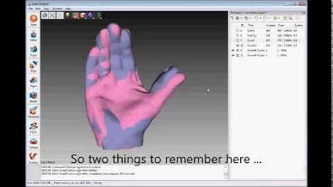 Non Rigid Alignment in Artec Studio