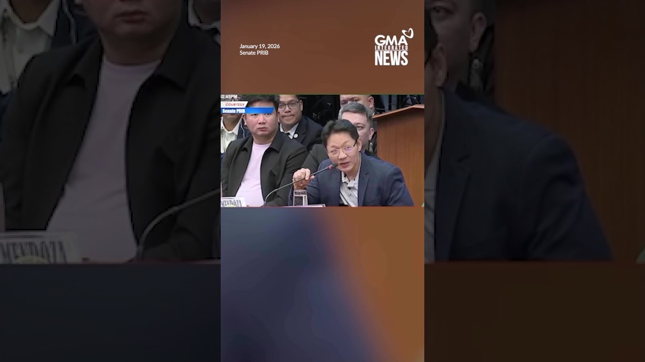 Ex-Speaker Romualdez and Discaya alleged link? | GMA Integrated News