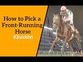 How to Pick a Front-Running Horse (Quickly)