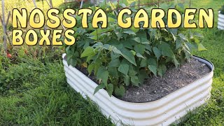 NOSSTA Garden Bed ~ Stands UP Well To the Competition! by The Cook Family Homestead 283 views 8 months ago 6 minutes, 27 seconds