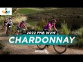 The 2022 FNB Wines2Whales Chardonnay