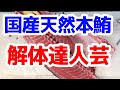 【100kg超え】海の王様 塩釜産本マグロの解体から熟成準備！プロの鮪の捌き方