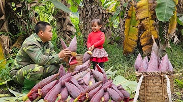 Harvesting wild banana flowers and bring them to the market to sell-Cooking,banana flowers salad