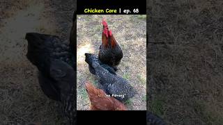 Chicken core | ep. 68