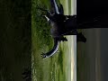 Lord of the ring the two tower