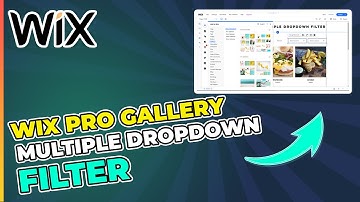 Multiple Dropdown Filter for WIX Pro Gallery | STEP-BY-STEP TUTORIAL | Wix Ideas