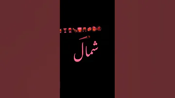 حريم وسكر 