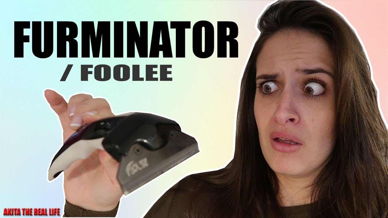 Le Furminator Mon Avis Youtube