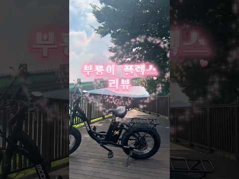 부릉이 플렉스 리뷰#플렉스#전기자전거#대용량배터리