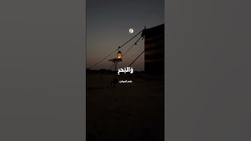 تلاوة خاشعة من سورة النمل للقارئ ياسر العجلان🌺 #اكسبلور #راحة_نفسية #المصحف #لايك