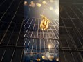 Golden Turkey Dance ✨#explore #foryouofficial #foryou #newstatus #viral #explorepage #news #funny