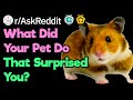 When Did Your Pet Genuinely Surprise You?