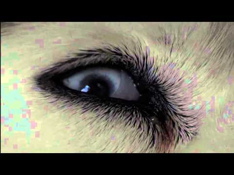 Stefan Rusconi — Tobias Preisig & Stefan Rusconi - Gilliane