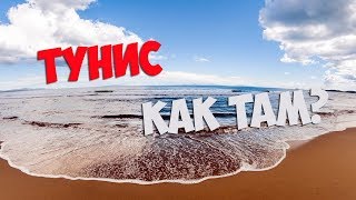 Тунис. Поездка в Эль-Джем, зоопарк Frigia, г. Сус