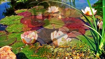 القارئ محمد النقيب/قرآن كريم..لا يأتون بمثله ...