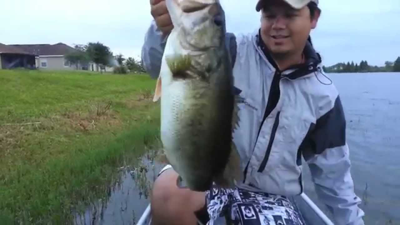 6 pound bass caught on a swim jig! YouTube