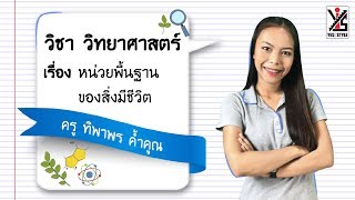 วิทยาศาสตร์ ม.1 ตอนที่ 1 หน่วยพื้นฐานของสิ่งมีชีวิต - Yes iStyle