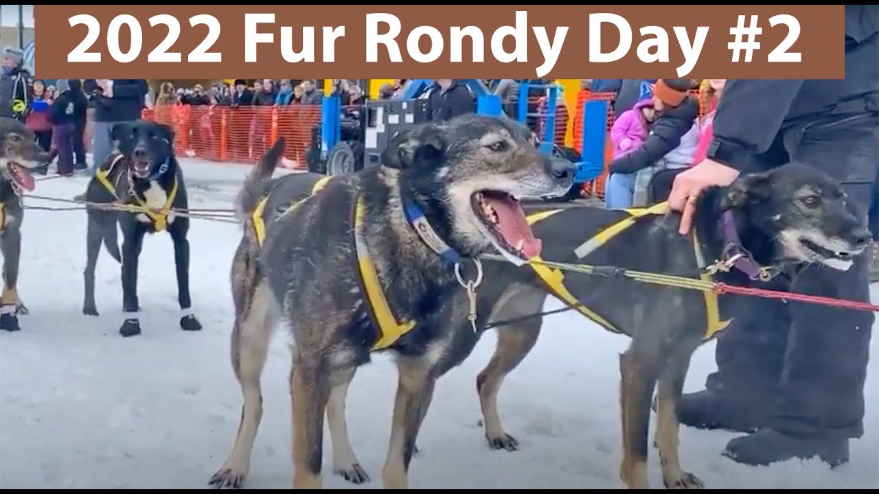 Fur Rondy 2022 Day #2 - Start 4th Ave Live Coverage Open Class World ...