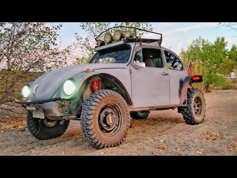 66 baja bug