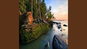 عبدالمحسن القاسم سورة الذاريات