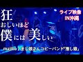 「majiko / まじ娘」さんコピーバンド/狂おしいほど僕には美しい  ライブ映像