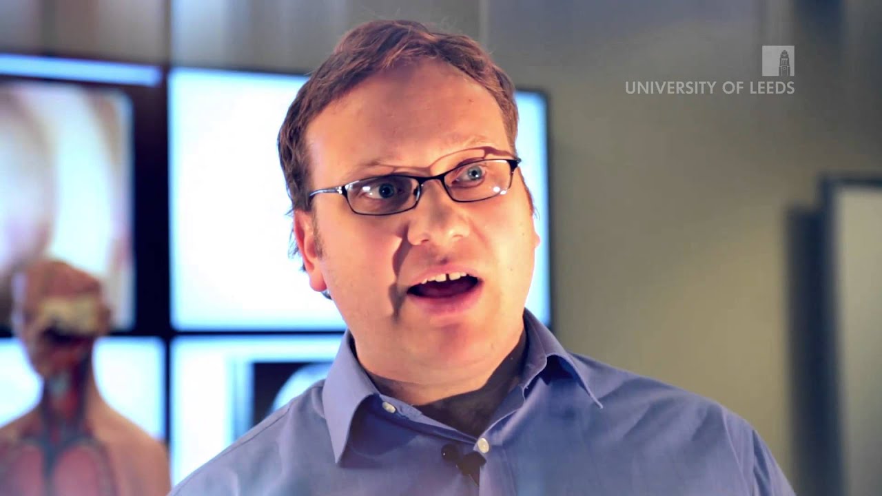 Exploring Anatomy: The Human Abdomen - YouTube