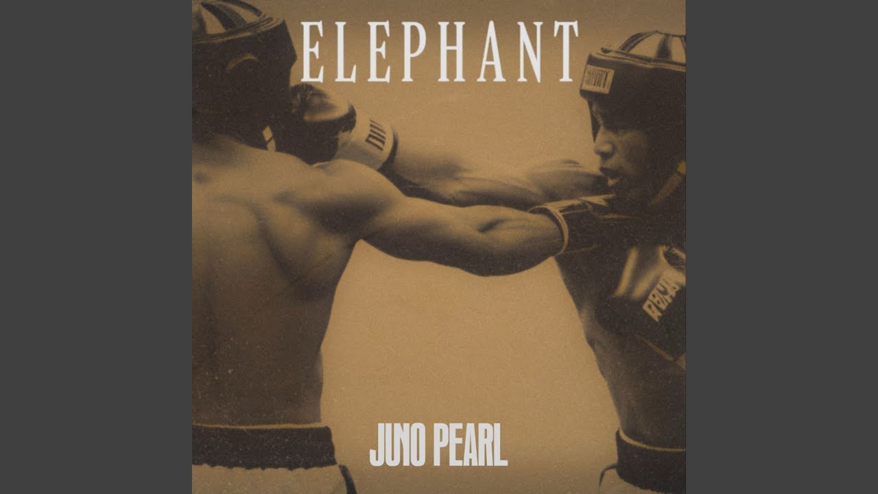 Elephant adlı videoyu YouTube'da izle Elephant adlı videoyu YouTube'da izle