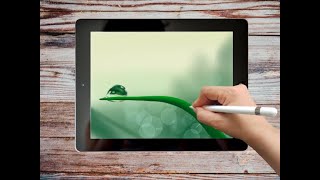 How to Draw on the Ipad Pro using Procreate app: Water Droplet on Leaf screenshot 5