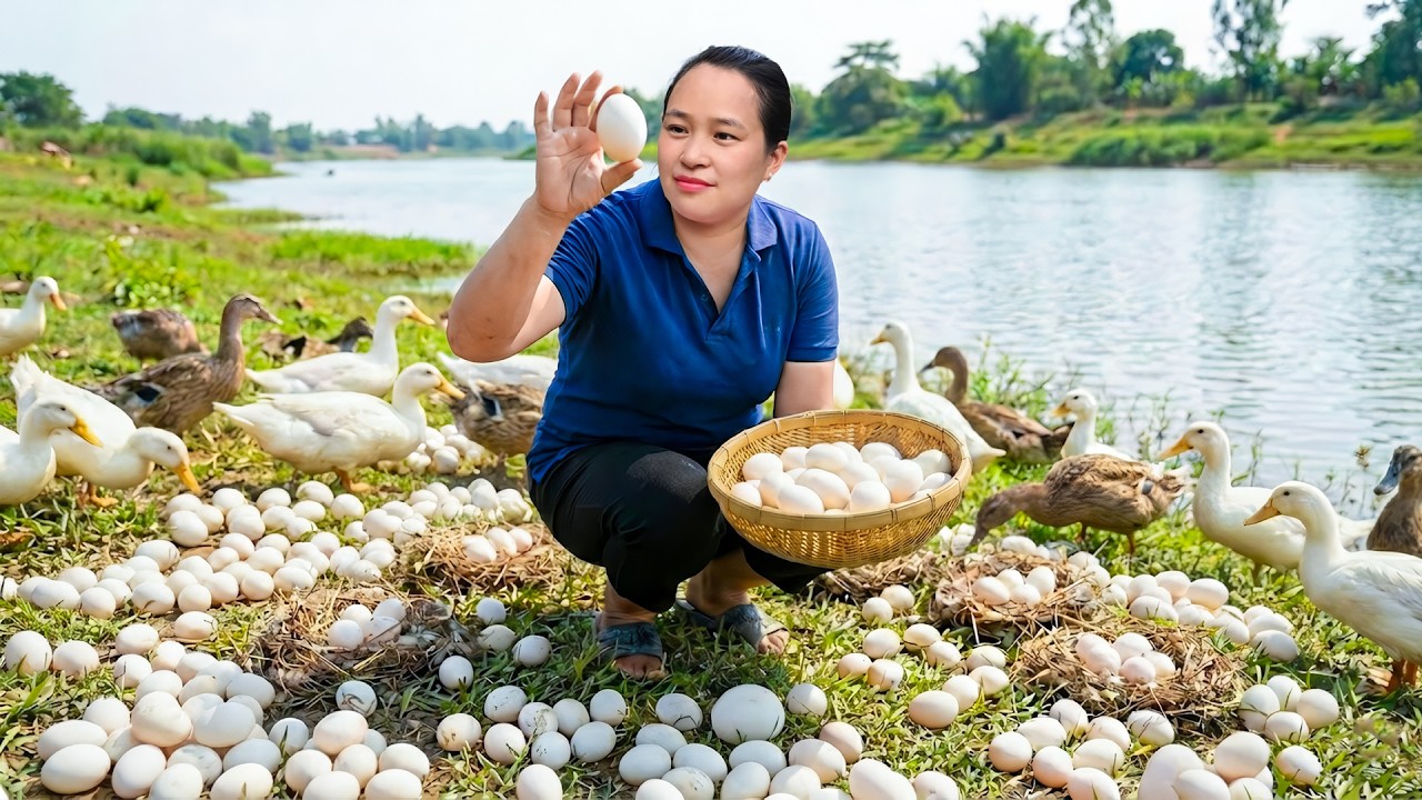 農場直送🥚鴨卵のトマト炒めを作って市場販売🍅🔥