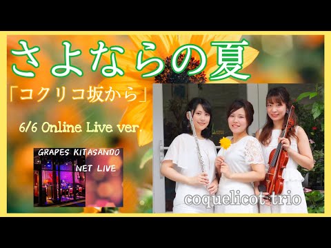 【Vn&Fl&Pf】さよならの夏【6/6Live映像】