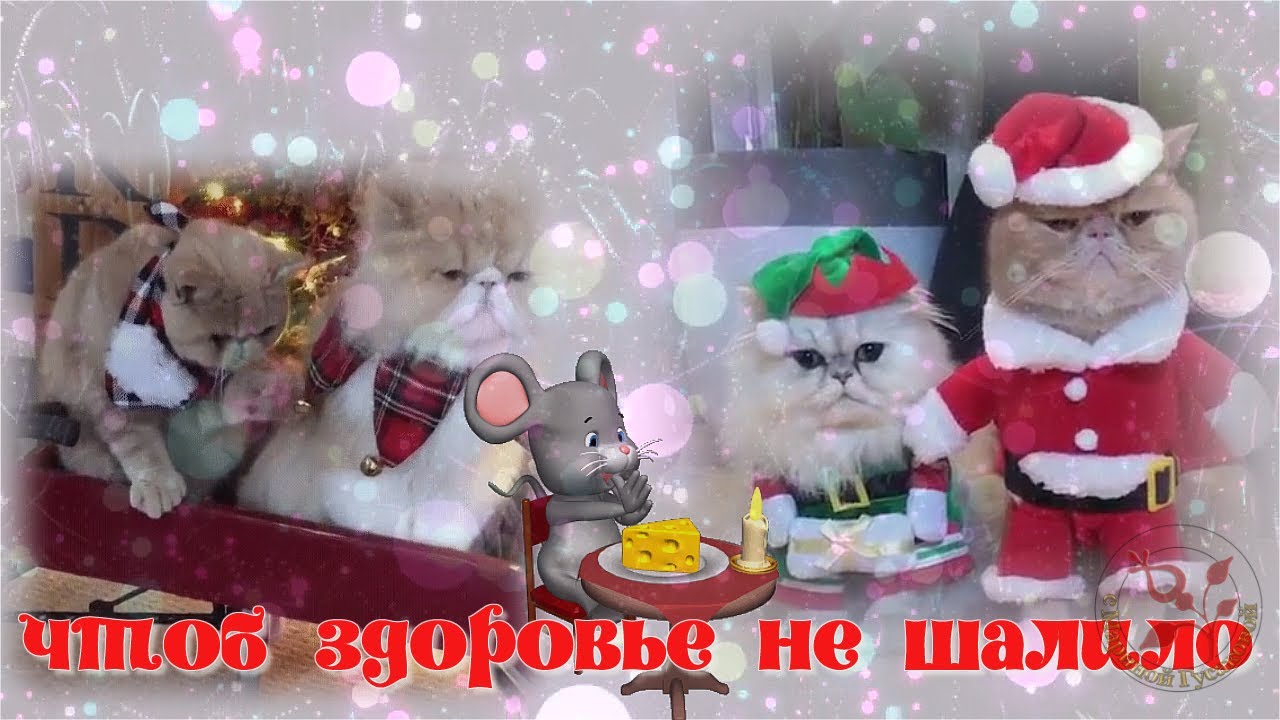 ⁣С НАСТУПАЮЩИМ НОВЫМ ГОДОМ! 2020 Прикольное ПОЗДРАВЛЕНИЕ на НОВЫЙ ГОД! Новогодняя видео открытка