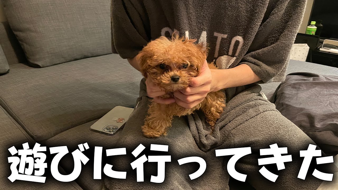 エイム君の家に遊びに行ったよ