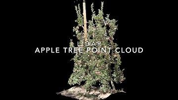 LIDAR Application - Fruit Yield Estimation