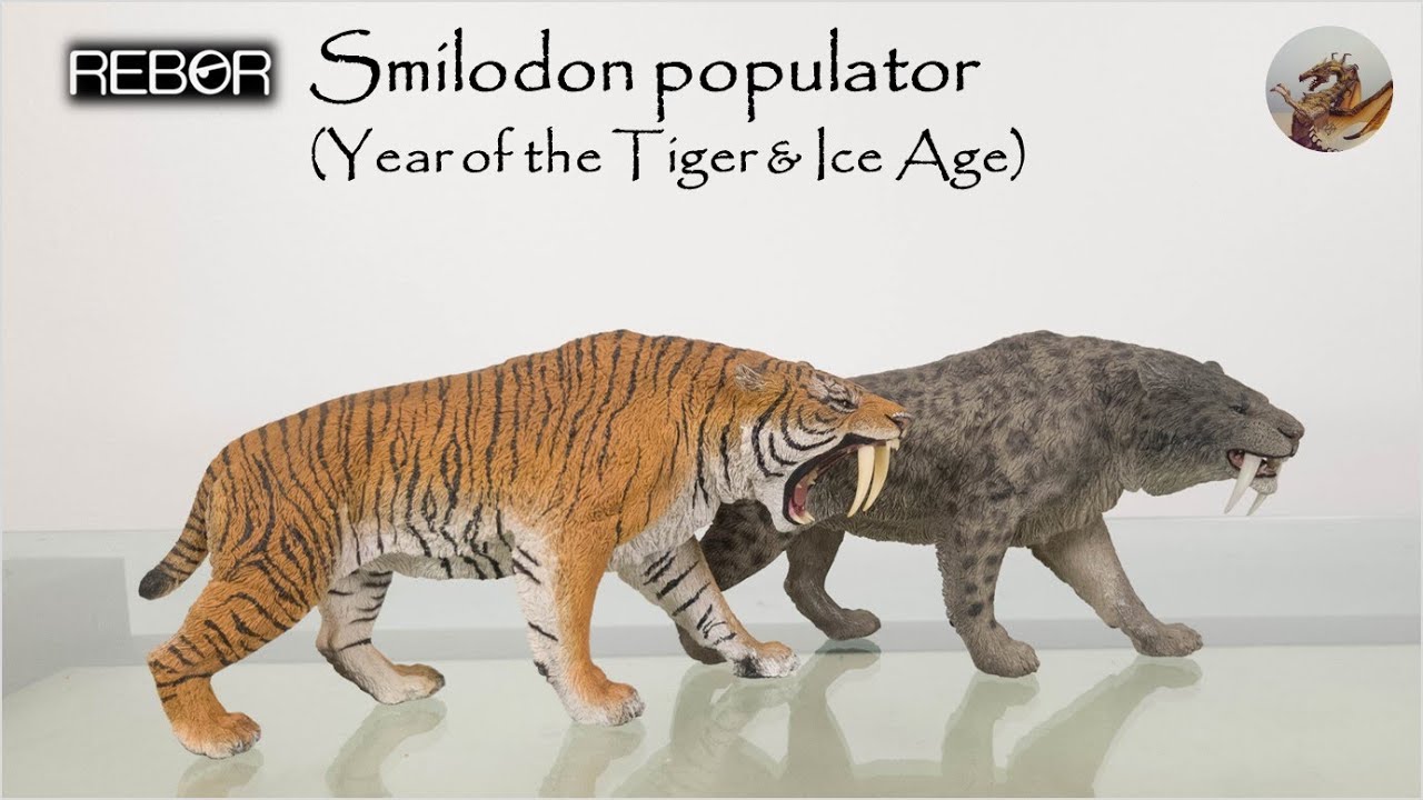 198 Rebor Smilodon Populator Year Of The Tiger And Ice Age Youtube