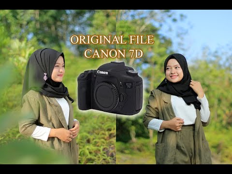 Bagi yang sedang melirik kamera DSLR Canon untuk upgrade tapi bingung apa saja perbedaan antara Cano. 