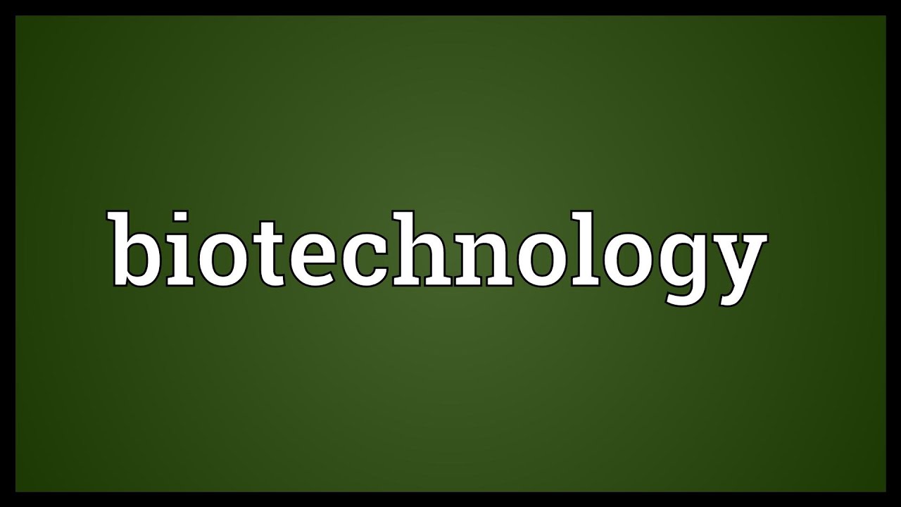 Biotechnology Meaning YouTube