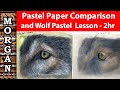 Leon de pastel  meilleur papier pastel et leon de dessin de loup  jason morgan art