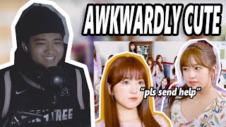 WIZ*ONE REACTION - IZ*ONE Violeta Flower Ver. (Most legendary video of all time)