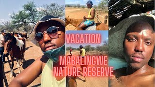 TRAVEL VLOG | Vacation at Mabalingwe Game Reserve