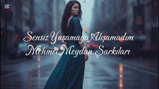 Sensi̇z Yaşamaya Alişamadim